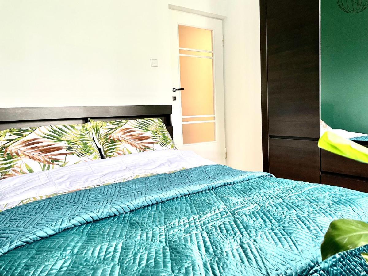 Apartament Przestronny Apartament W Centrum Rzeszowa Zewnętrze zdjęcie